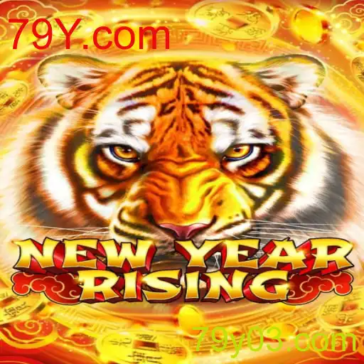 Descubra o Fascinante Mundo de NewYearRising e a Inovadora Plataforma 79Y.com